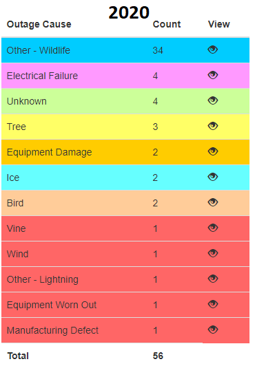 2020 Outage Reports