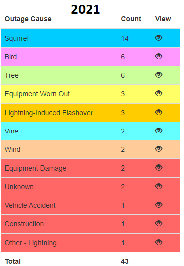 2021 Outage Reports